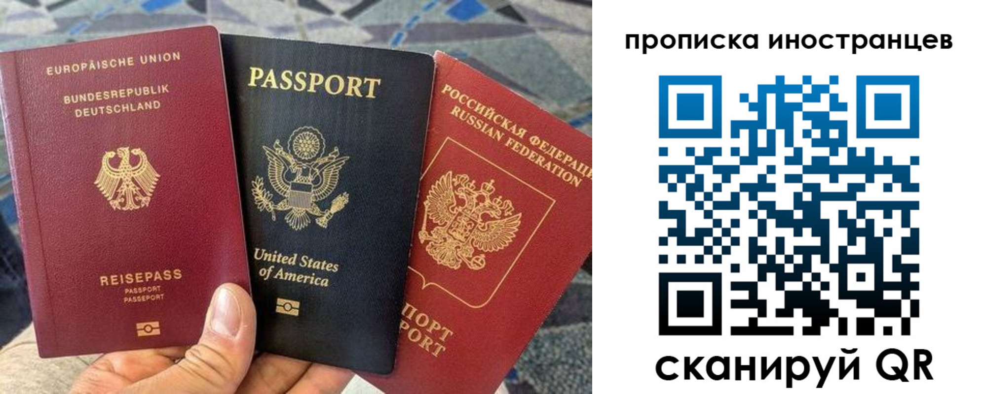прописка поиск в Ростове